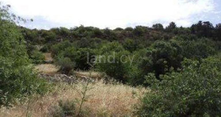 Terrain agricole à vendre à Paphos