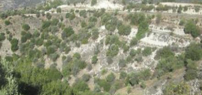 Сельскохозяйственное поле на продажу в Пафос