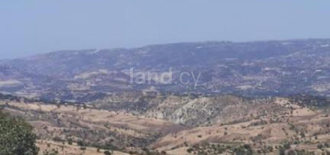 Campo agrícola a la venta en Paphos