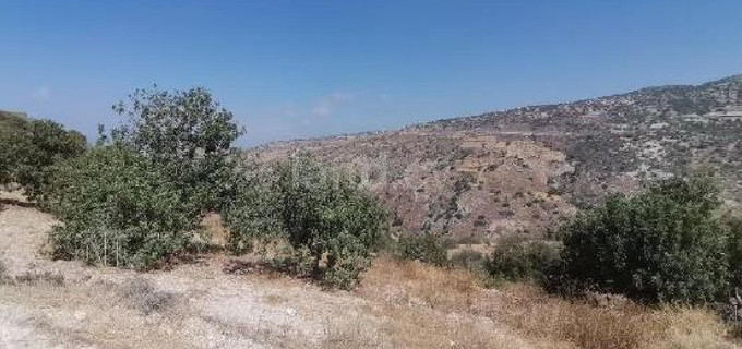 Campo agrícola a la venta en Paphos