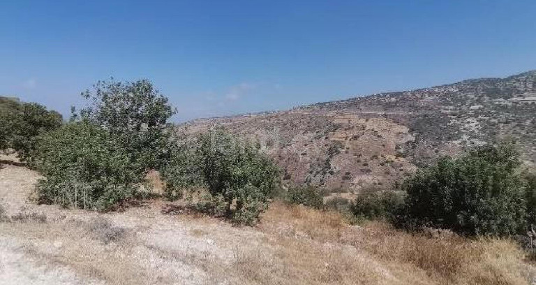 Αγροτικό αγροτεμάχιο προς πώληση - Πάφος