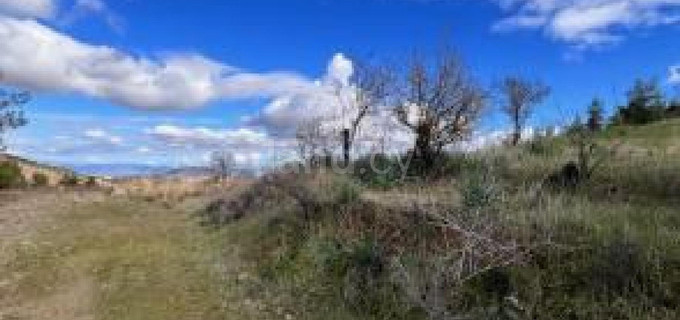 Αγροτικό αγροτεμάχιο προς πώληση - Λευκωσία