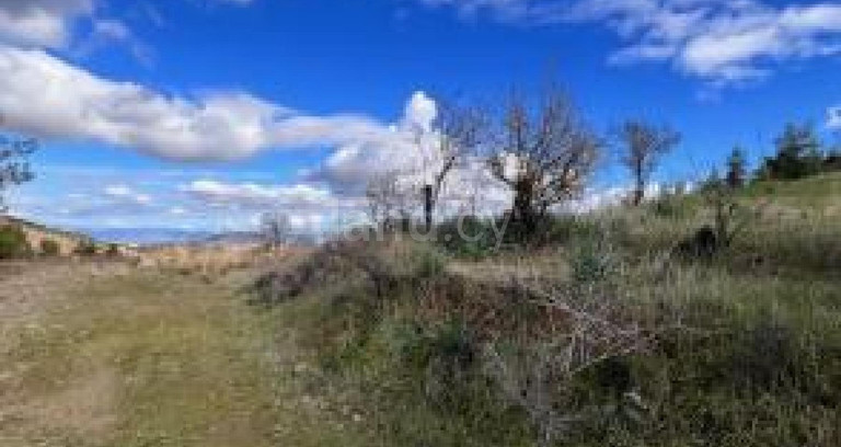 Αγροτικό αγροτεμάχιο προς πώληση - Λευκωσία