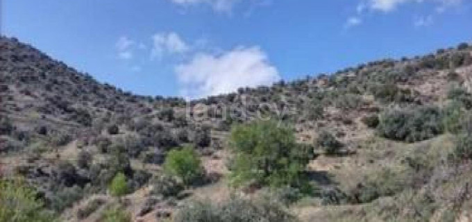 Agricultural field for sale in Limassol