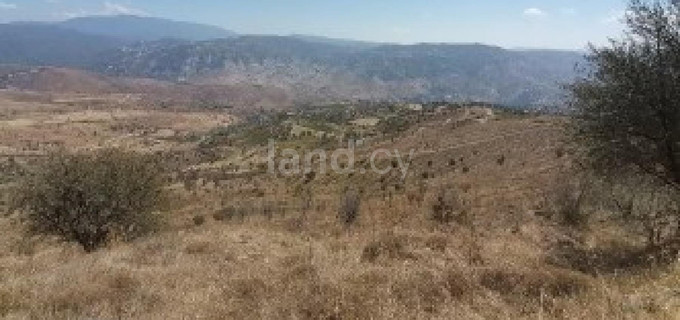 Campo agrícola a la venta en Paphos