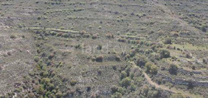 Campo agrícola a la venta en Limassol