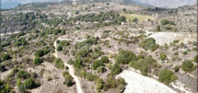 Campo agrícola a la venta en Limassol