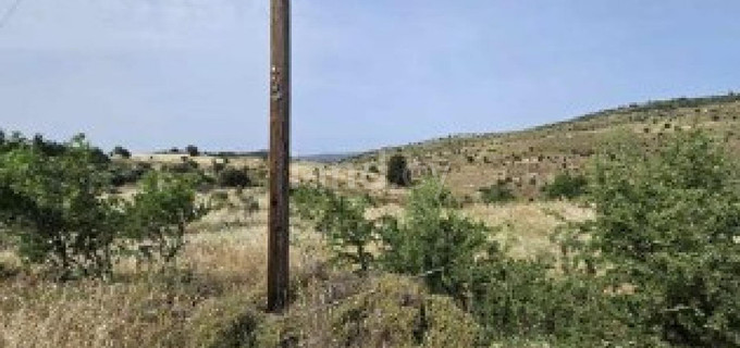 Landwirtschaftliches Baugebiet in Paphos zu verkaufen