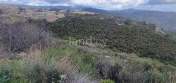 Agricultural field for sale in Limassol