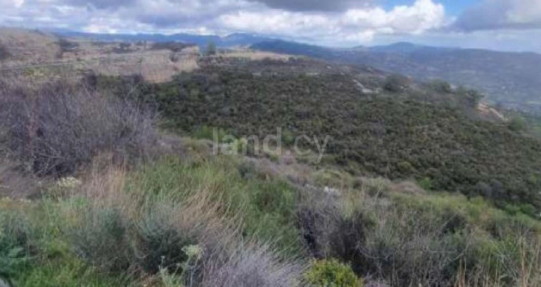Agricultural field for sale in Limassol
