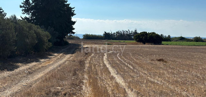 Agricultural field for sale in Larnaca