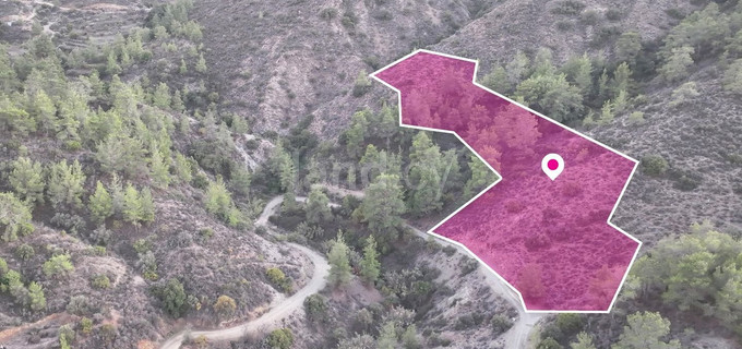 Field for sale in Limassol