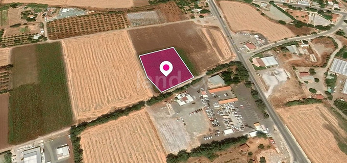 Baugebiet in Paphos zu verkaufen