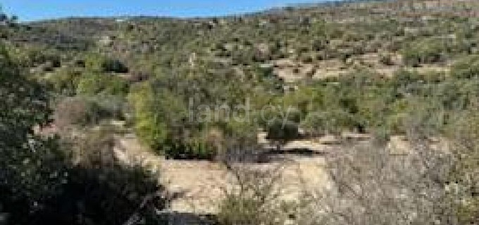 Campo agrícola a la venta en Paphos