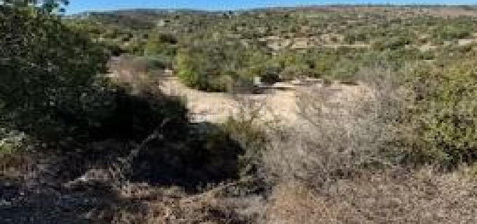 Campo agrícola a la venta en Paphos