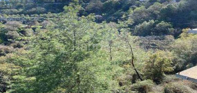 Campo residencial a la venta en Paphos