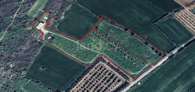 Industrial field for sale in Larnaca