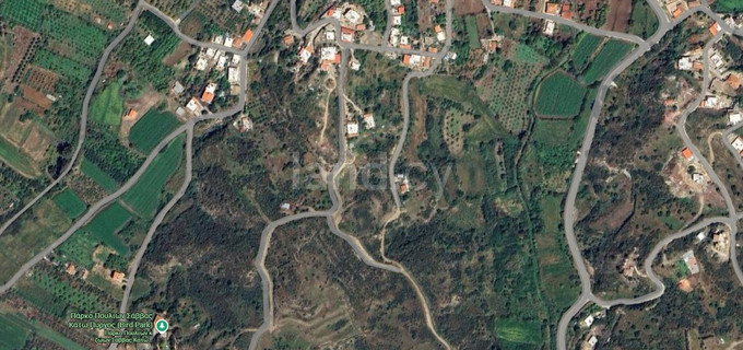 Field for sale in Paphos