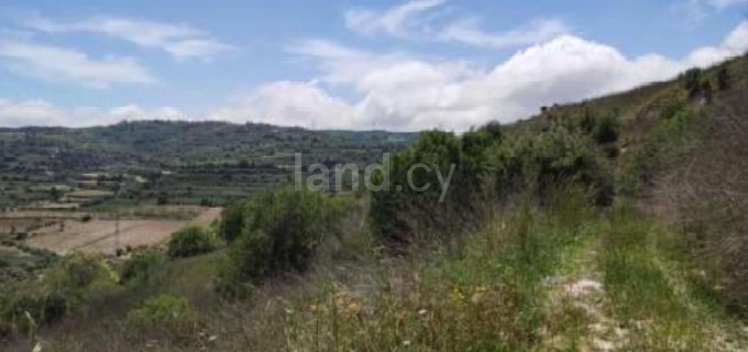 Campo agrícola a la venta en Paphos