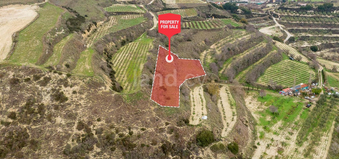 Jordbruksfält till salu i Paphos