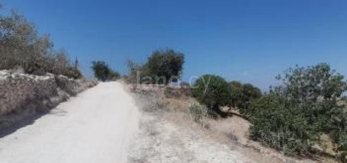 Campo agrícola a la venta en Paphos