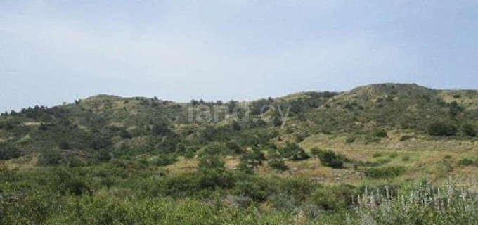 Campo agrícola a la venta en Nicosia