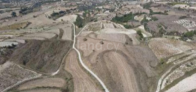 Campo agrícola a la venta en Paphos