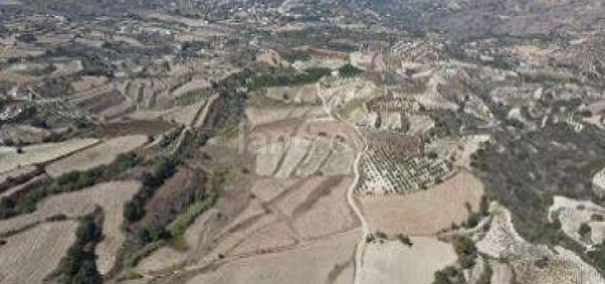 Campo agrícola a la venta en Paphos