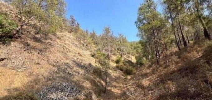 Landwirtschaftliches Baugebiet in Nicosia zu verkaufen
