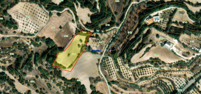 Agricultural field for sale in Paphos