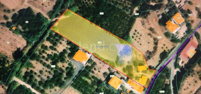 Field for sale in Paphos