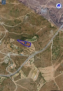 Agricultural field for sale in Paphos