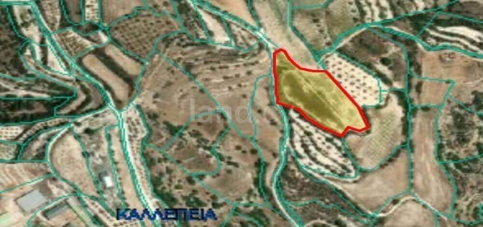 Field for sale in Paphos