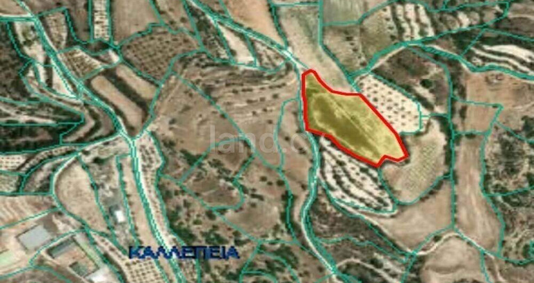 Field for sale in Paphos