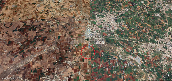 Agricultural field for sale in Frenaros