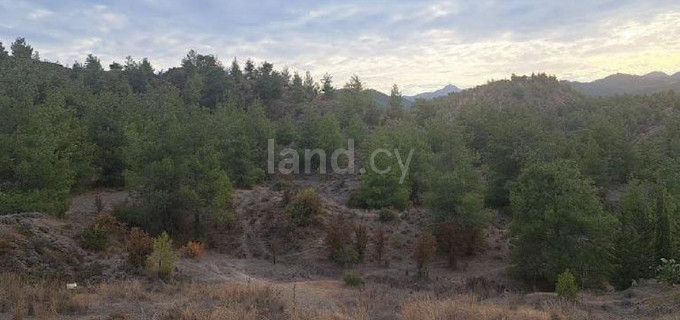 Сельскохозяйственное поле на продажу в Никосия