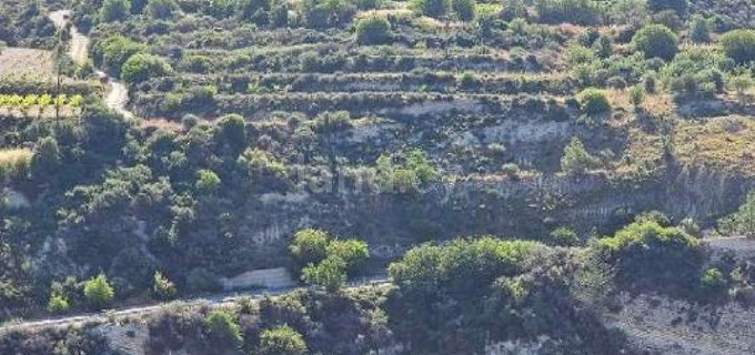 Agricultural field for sale in Paphos