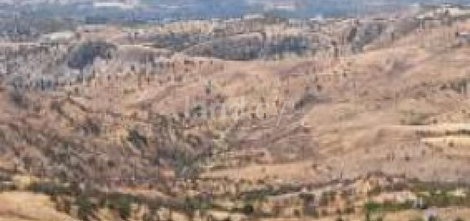 Αγροτικό αγροτεμάχιο προς πώληση - Πάφος