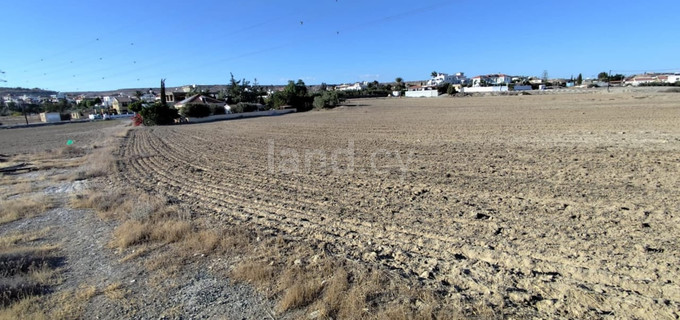 Residential field for sale in Larnaca