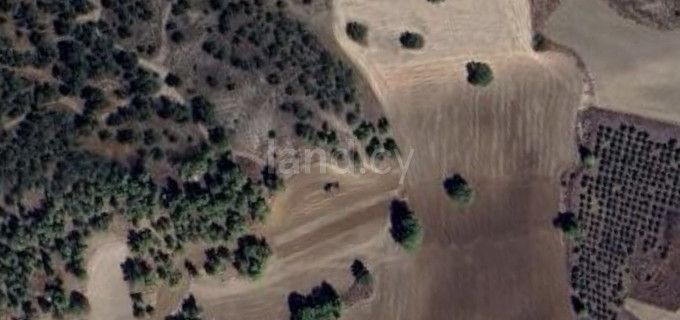 Поле на продажу в Никосия