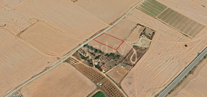 Jordbruksfält till salu i Larnaca