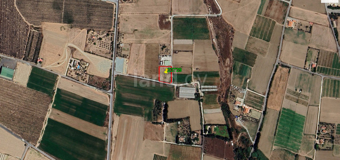 Jordbruksfält till salu i Larnaca