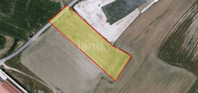 Agricultural field for sale in Larnaca