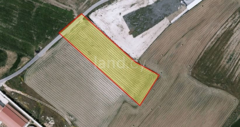 Agricultural field for sale in Larnaca