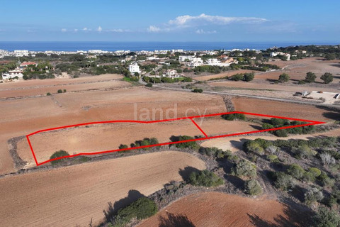 Αγροτικό αγροτεμάχιο προς πώληση - Πρωταράς