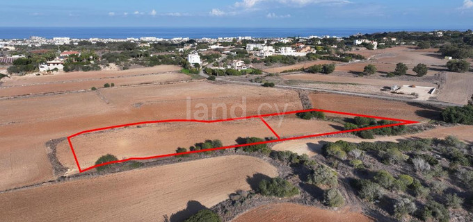 Jordbruksfält till salu i Protaras