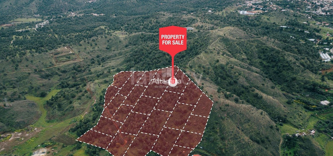 Agricultural field for sale in Nicosia