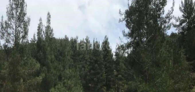 Agricultural field for sale in Nicosia