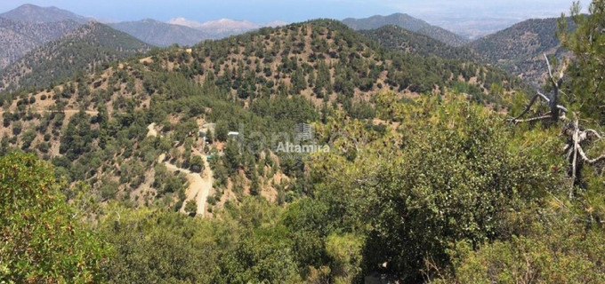 Campo agrícola a la venta en Nicosia