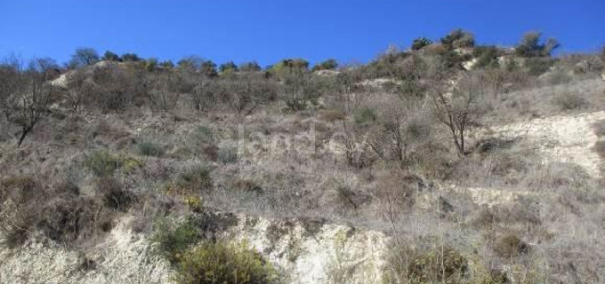 Αγροτικό αγροτεμάχιο προς πώληση - Πάφος